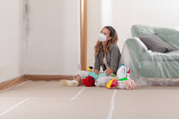 Reliable Mold Testing contractor in Mattawan, MI by WQB Mold Removal
